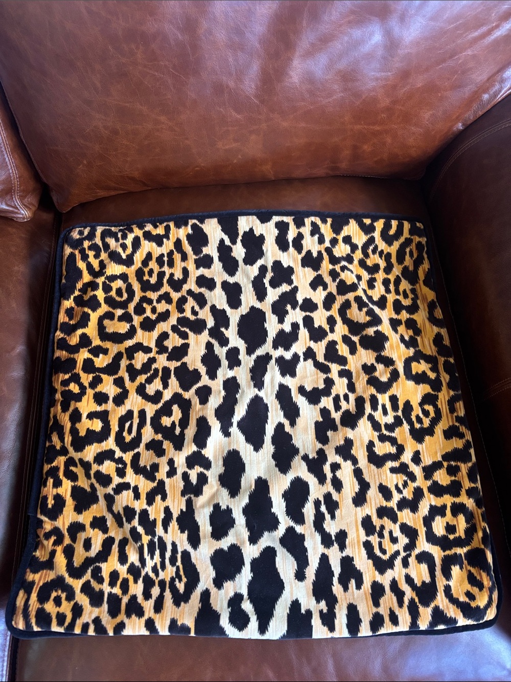 BALLARD DESIGNS Serengeti Pillow